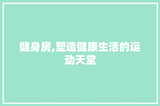 健身房,塑造健康生活的运动天堂