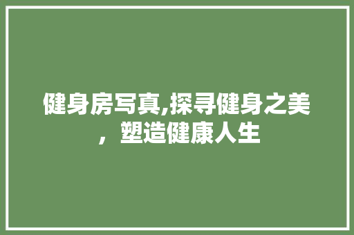 健身房写真,探寻健身之美，塑造健康人生