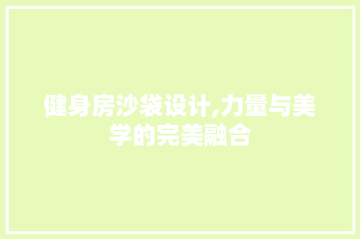 健身房沙袋设计,力量与美学的完美融合