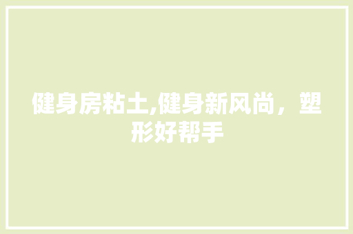 健身房粘土,健身新风尚，塑形好帮手
