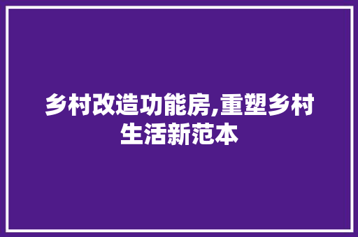 乡村改造功能房,重塑乡村生活新范本
