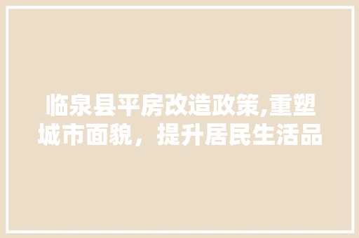 临泉县平房改造政策,重塑城市面貌，提升居民生活品质