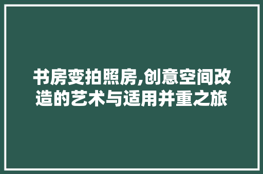 书房变拍照房,创意空间改造的艺术与适用并重之旅 隔断设计