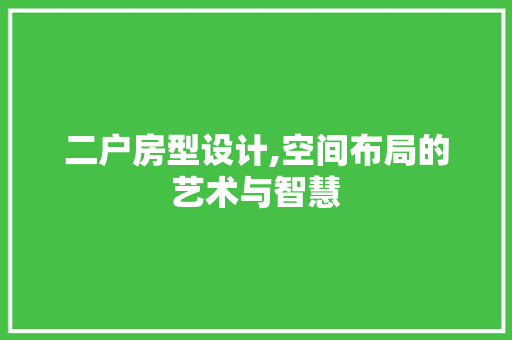 二户房型设计,空间布局的艺术与智慧 装修材料