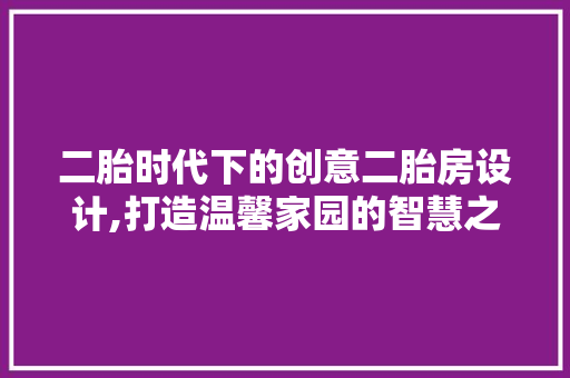 二胎时代下的创意二胎房设计,打造温馨家园的智慧之路