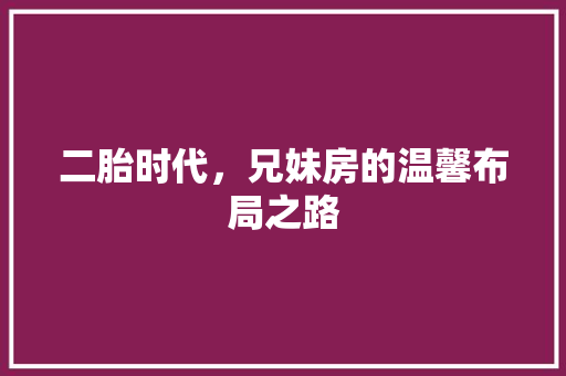 二胎时代，兄妹房的温馨布局之路 隔断设计