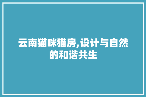 云南猫咪猫房,设计与自然的和谐共生 地面装修