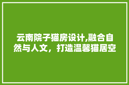 云南院子猫房设计,融合自然与人文，打造温馨猫居空间 门窗装修