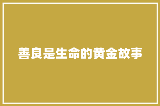 五层电梯房设计,舒适居住的新选择