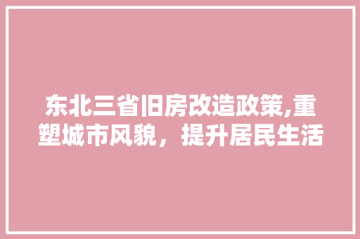 东北三省旧房改造政策,重塑城市风貌，提升居民生活品质