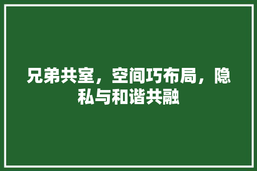 兄弟共室，空间巧布局，隐私与和谐共融