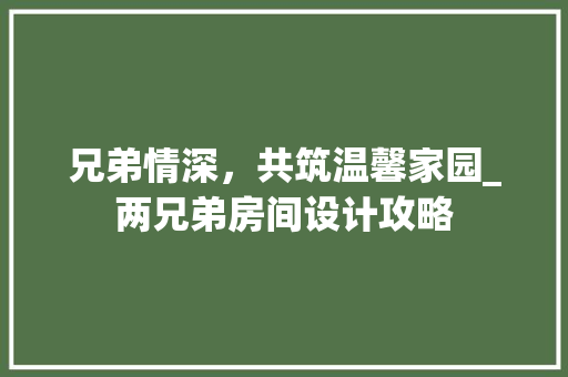 兄弟情深，共筑温馨家园_两兄弟房间设计攻略 庭院装修