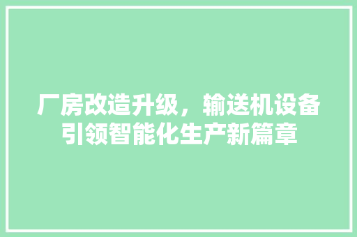 厂房改造升级，输送机设备引领智能化生产新篇章