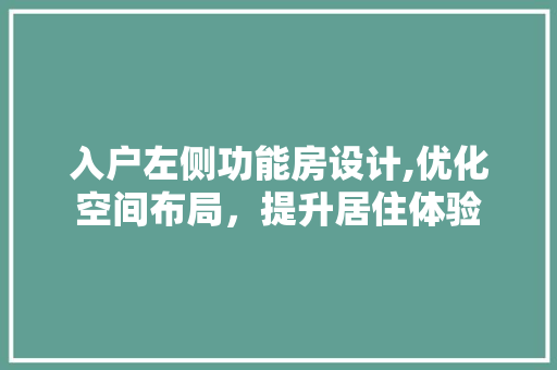 入户左侧功能房设计,优化空间布局，提升居住体验 装修材料