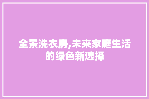 全景洗衣房,未来家庭生活的绿色新选择