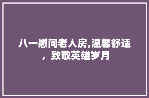 八一慰问老人房,温馨舒适，致敬英雄岁月