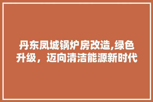 丹东凤城锅炉房改造,绿色升级，迈向清洁能源新时代
