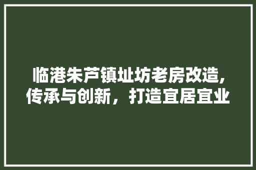 临港朱芦镇址坊老房改造,传承与创新，打造宜居宜业新典范