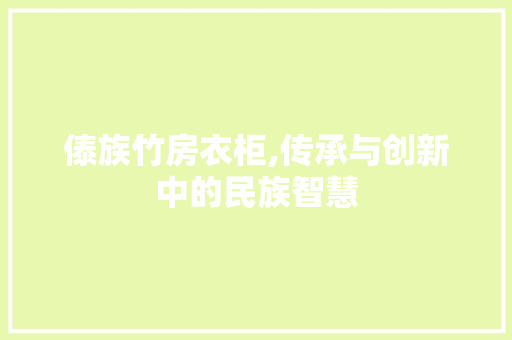 傣族竹房衣柜,传承与创新中的民族智慧