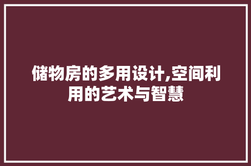 储物房的多用设计,空间利用的艺术与智慧