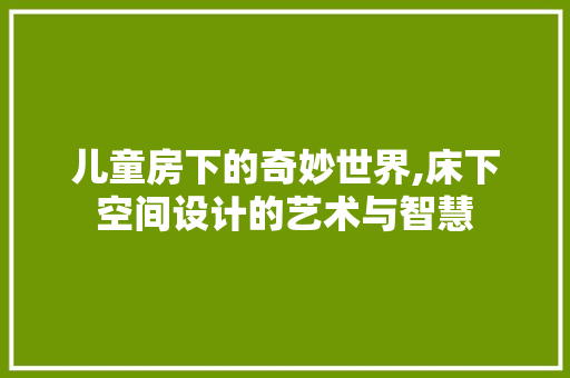 儿童房下的奇妙世界,床下空间设计的艺术与智慧 景观设计
