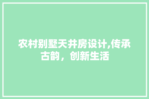 农村别墅天井房设计,传承古韵，创新生活