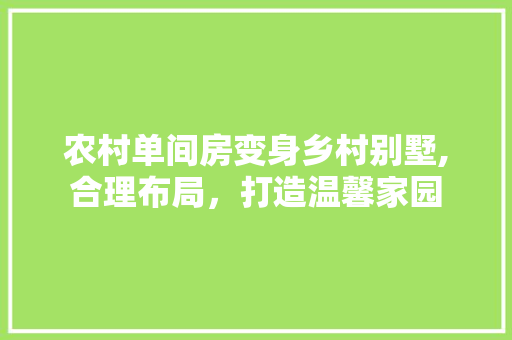 农村单间房变身乡村别墅,合理布局，打造温馨家园