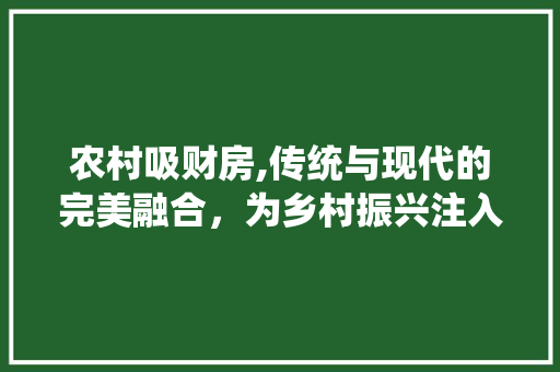 农村吸财房,传统与现代的完美融合，为乡村振兴注入新活力