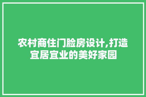 农村商住门脸房设计,打造宜居宜业的美好家园