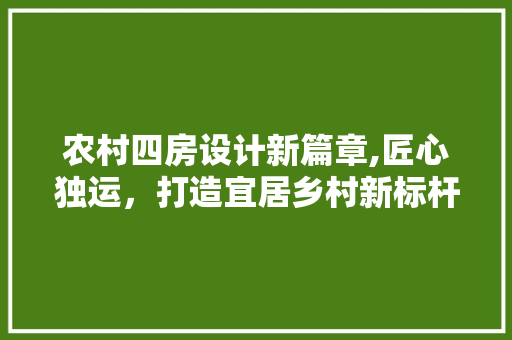 农村四房设计新篇章,匠心独运，打造宜居乡村新标杆