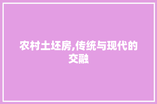 农村土坯房,传统与现代的交融