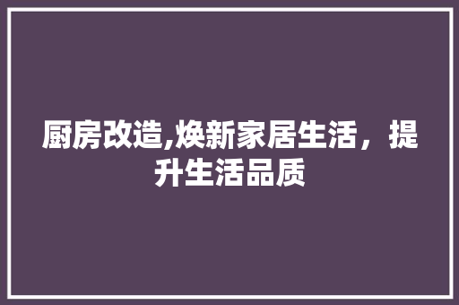 厨房改造,焕新家居生活，提升生活品质