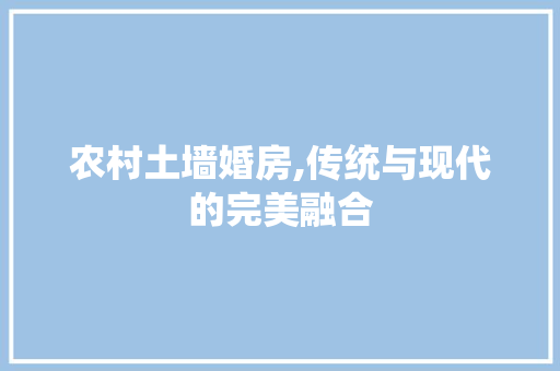 农村土墙婚房,传统与现代的完美融合 隔断设计