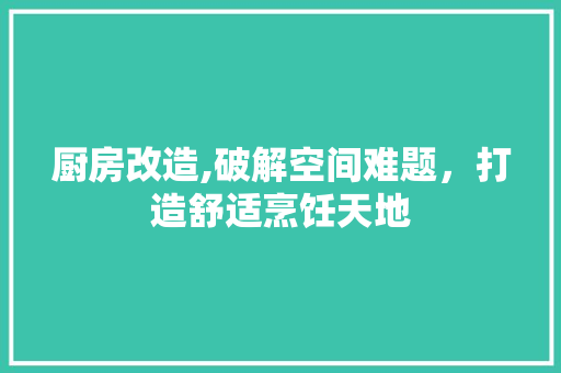 厨房改造,破解空间难题，打造舒适烹饪天地 隔断设计