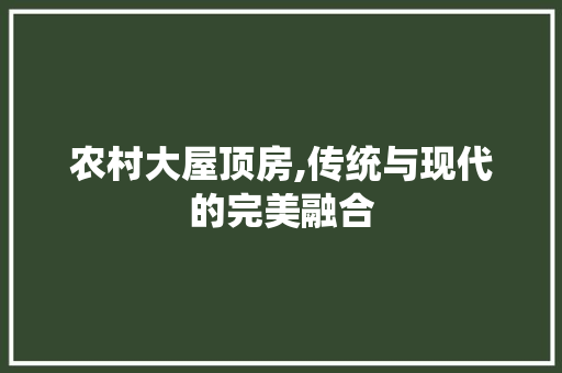 农村大屋顶房,传统与现代的完美融合
