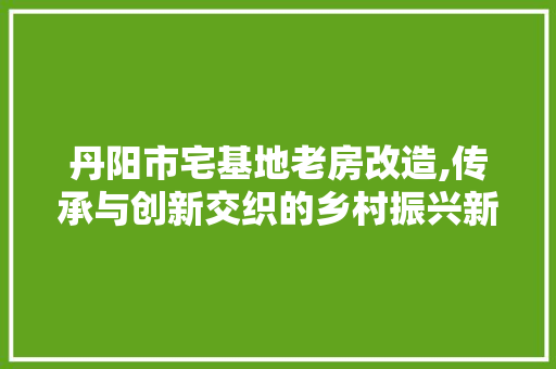 丹阳市宅基地老房改造,传承与创新交织的乡村振兴新篇章