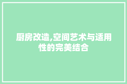 厨房改造,空间艺术与适用性的完美结合