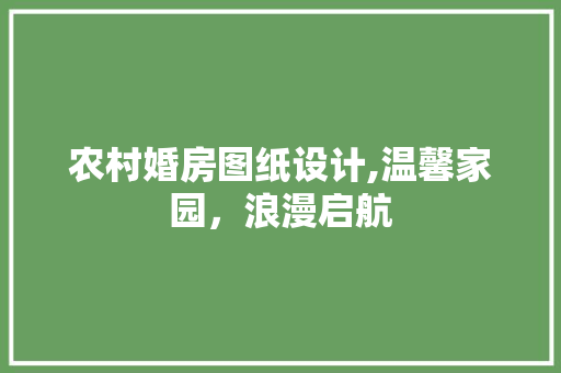 农村婚房图纸设计,温馨家园,浪漫启航 隔断设计 农村婚房图纸设计,温馨家园,浪漫启航 隔断设计