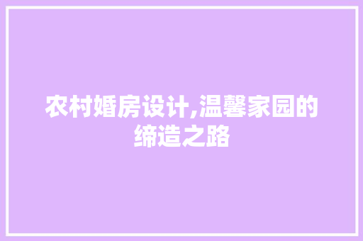 农村婚房设计,温馨家园的缔造之路 地面装修