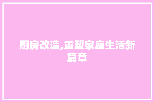 厨房改造,重塑家庭生活新篇章 景观设计