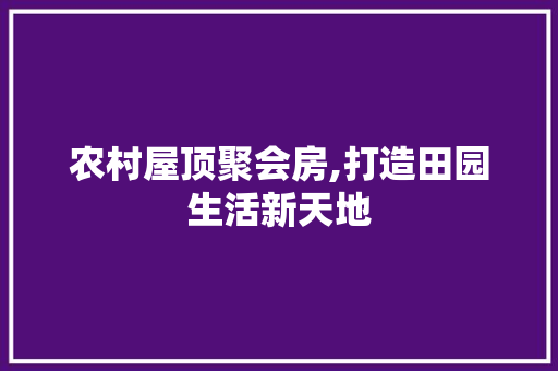 农村屋顶聚会房,打造田园生活新天地 装修材料