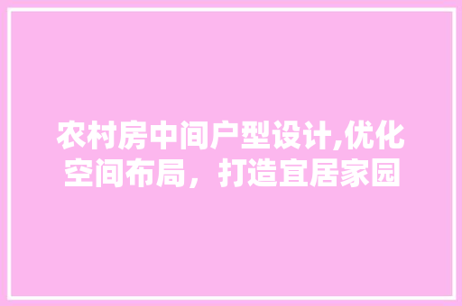 农村房中间户型设计,优化空间布局，打造宜居家园