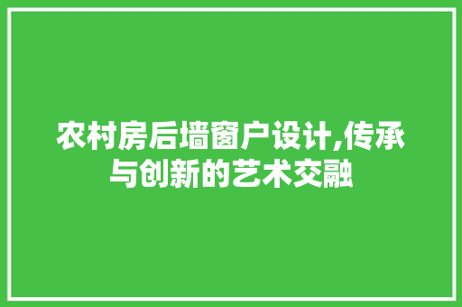 农村房后墙窗户设计,传承与创新的艺术交融