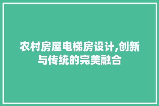 农村房屋电梯房设计,创新与传统的完美融合 隔断设计