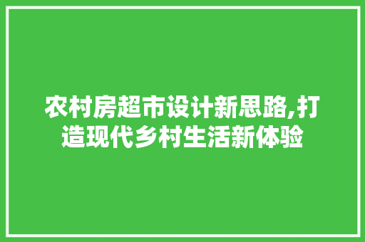 农村房超市设计新思路,打造现代乡村生活新体验 墙面装饰