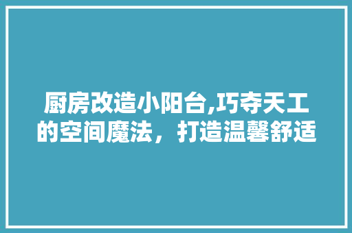 厨房改造小阳台,巧夺天工的空间魔法，打造温馨舒适家居新天地