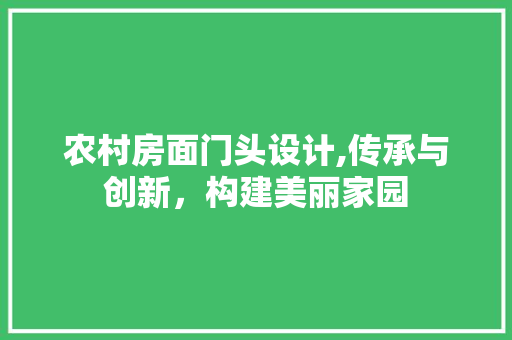 农村房面门头设计,传承与创新，构建美丽家园 墙面装饰