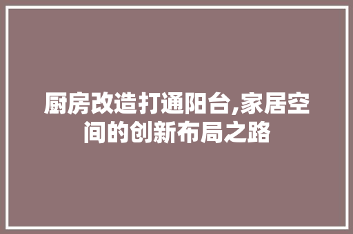 厨房改造打通阳台,家居空间的创新布局之路 庭院装修