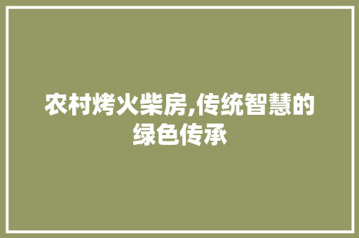 农村烤火柴房,传统智慧的绿色传承 墙面装饰