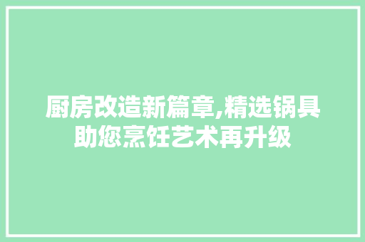 厨房改造新篇章,精选锅具助您烹饪艺术再升级 庭院装修 厨房改造新篇章,精选锅具助您烹饪艺术再升级 庭院装修